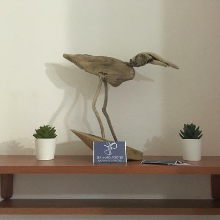 Il Mio Piccolo Angolo Di Mare Apartment Viareggio Ngoại thất bức ảnh