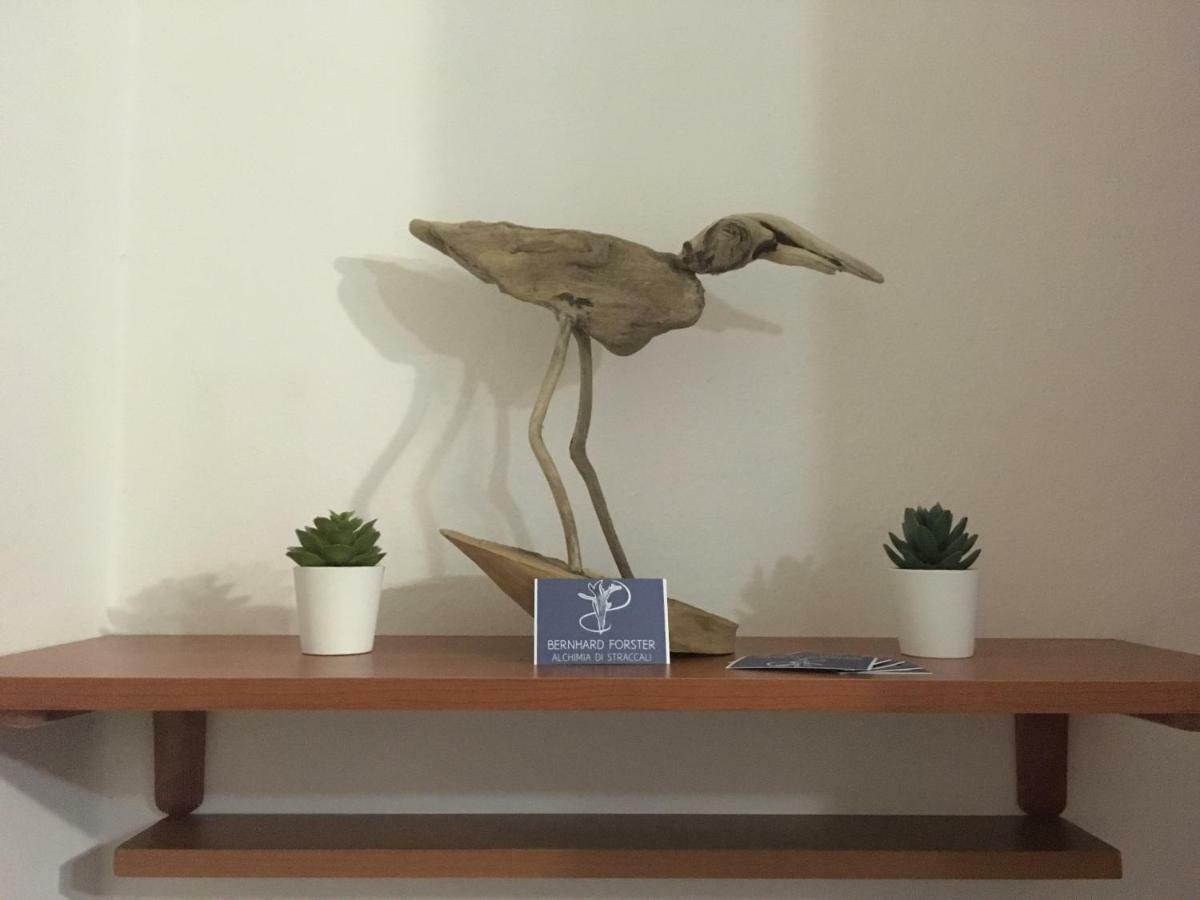 Il Mio Piccolo Angolo Di Mare Apartment Viareggio Ngoại thất bức ảnh